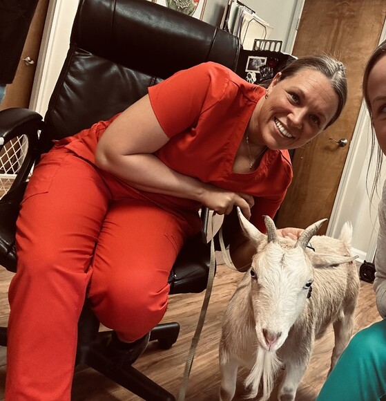 vetmedmama